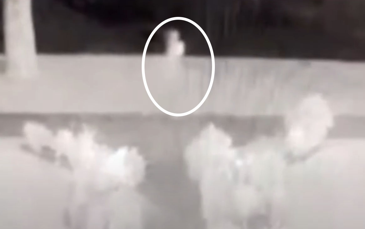 IMPRESIONANTE FANTASMA CAPTADO EN CÁMARA DE SEGURIDAD. - Misterios Ocultos